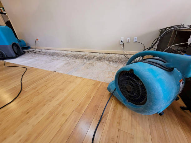 Professional Water Removal technician working in Tollhouse, CA